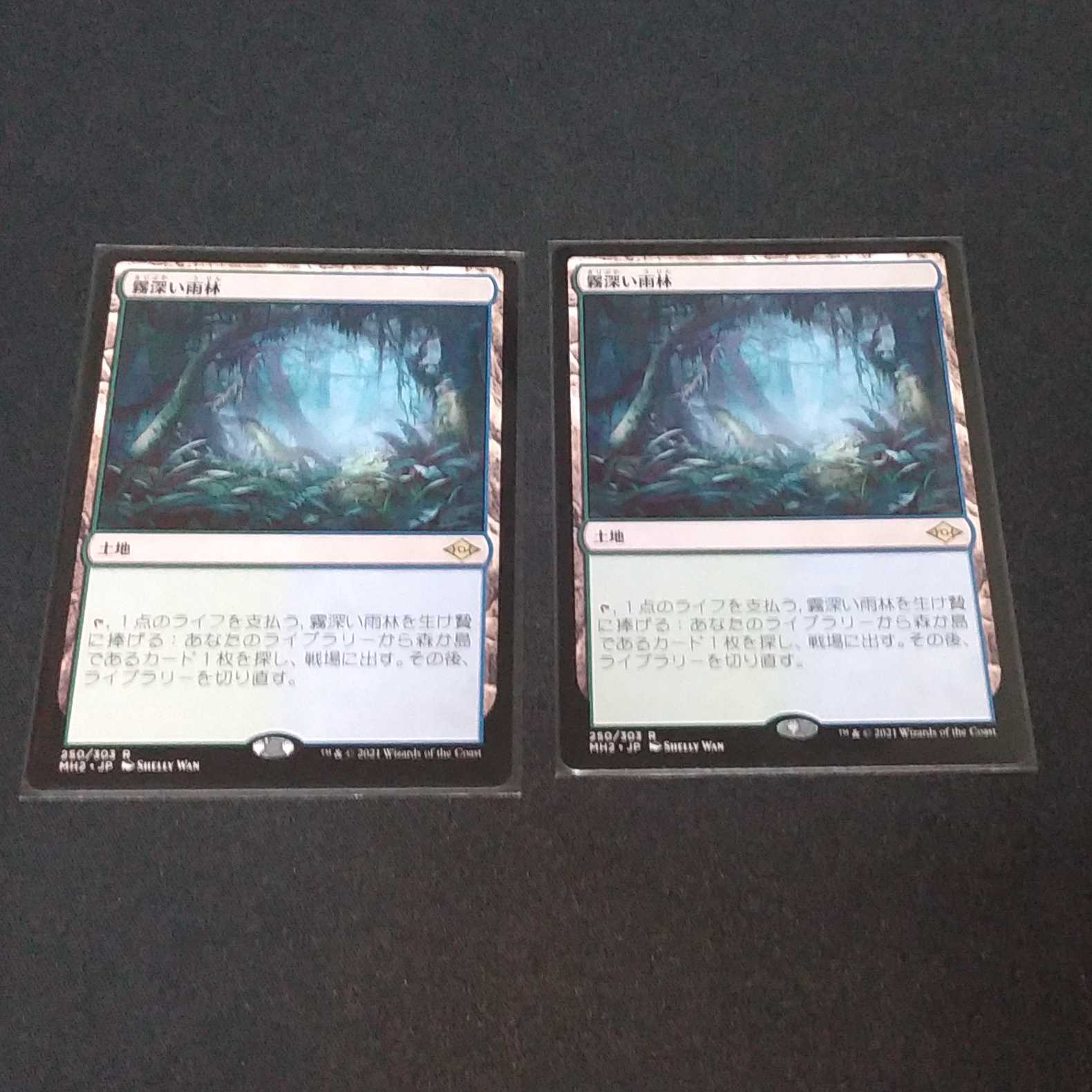 霧深い雨林2枚セットその2