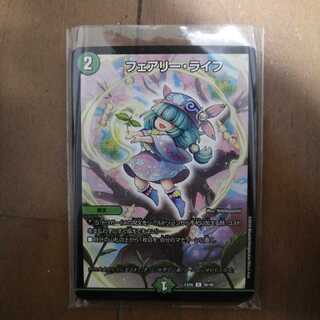 フェアリーライフ13枚