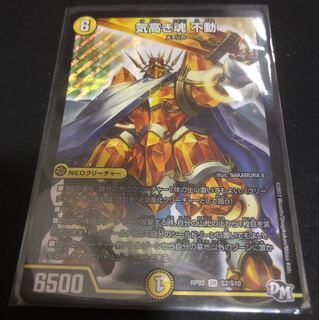 気高き魂不動 1枚