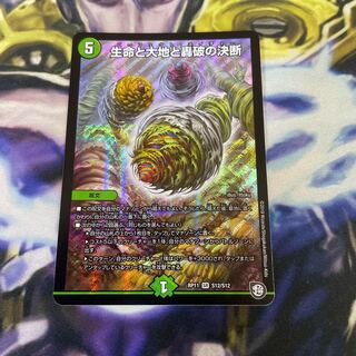 生命と大地と轟破の決断　最安値