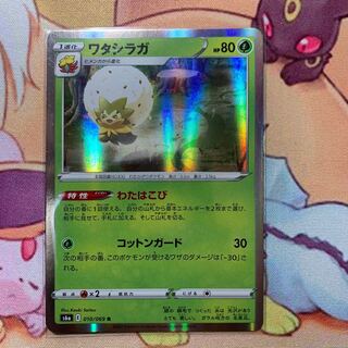 ワタシラガ R（在庫7枚）1枚80円