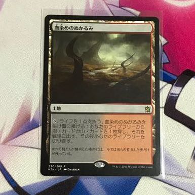 Dedicated to 815479904