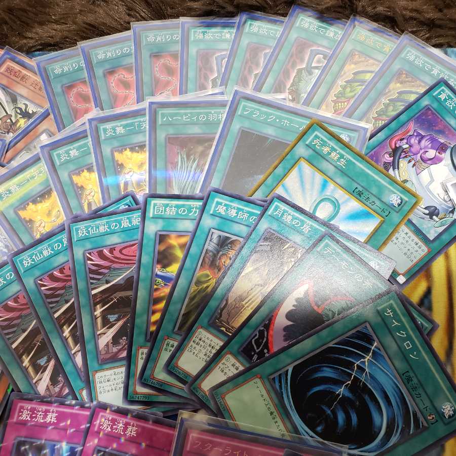 遊戯王　妖仙獣　大会優勝 1枚