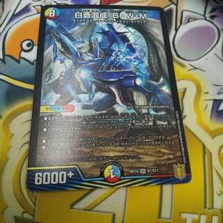 Hakuso Hyosei B・W・M SR