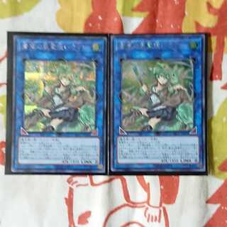 【遊戯王】蒼翠の風霊使いウィン　シク2枚セット