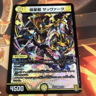 煌星龍 サッヴァーク