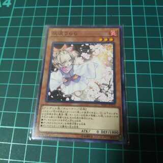 遊戯王 灰流うらら ノーマル