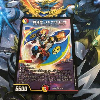 ハヤブサリュウ 1枚