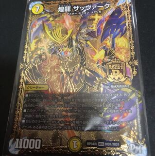 煌龍サッヴァーク