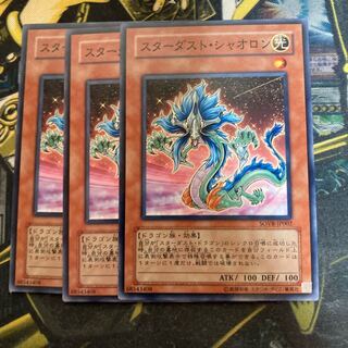 マドレース4871スターダスト・シャオロン ノーマル