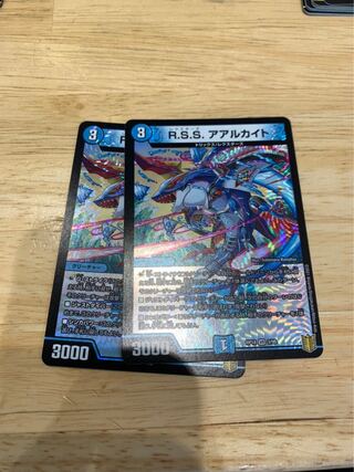 R.S.S. アアルカイト VR