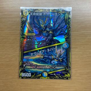 天命龍装 ホーリーエンド/ナウ・オア・ネバー