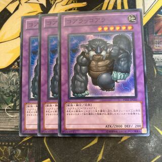 マドレース4896コアラッコ ノーマル