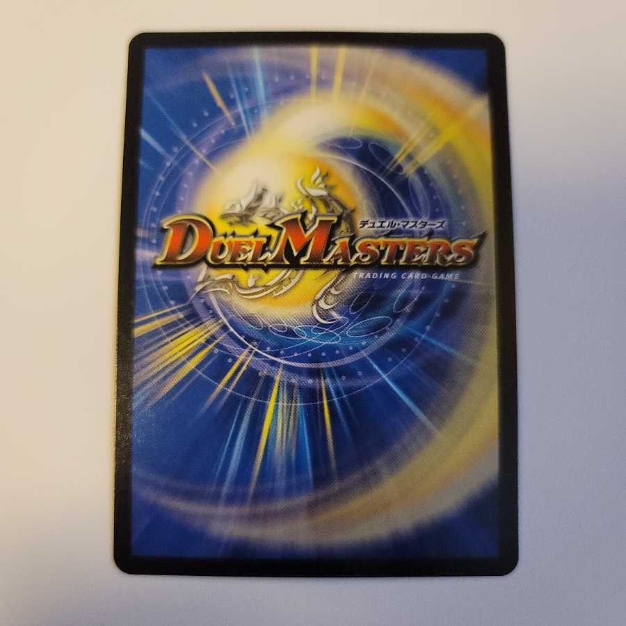 天命龍装 ホーリーエンド/ナウ・オア・ネバー