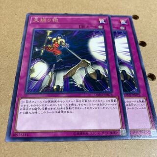 大捕り物 レア 2枚