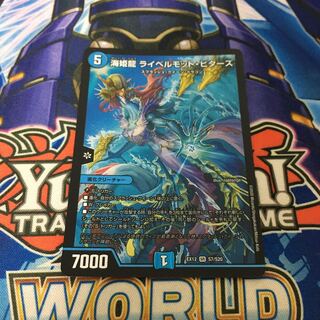 海姫龍 ライベルモット・ビターズ　1枚