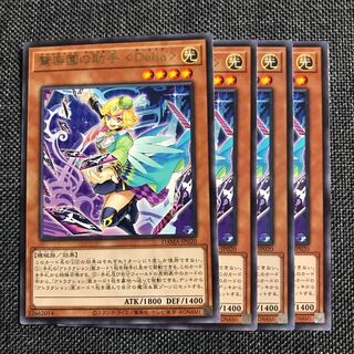 驚楽園の助手 <Delia> 4枚  R DAMA-JP020