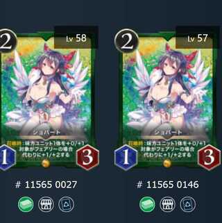 ショパート　2枚