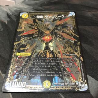 煌龍サッヴァーク