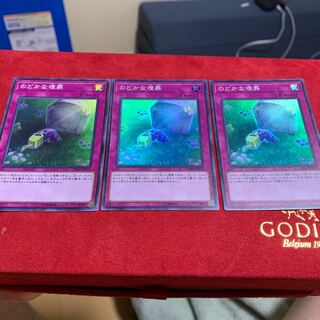 遊戯王 のどかな埋葬 3枚