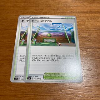 ターフスタジアム2枚