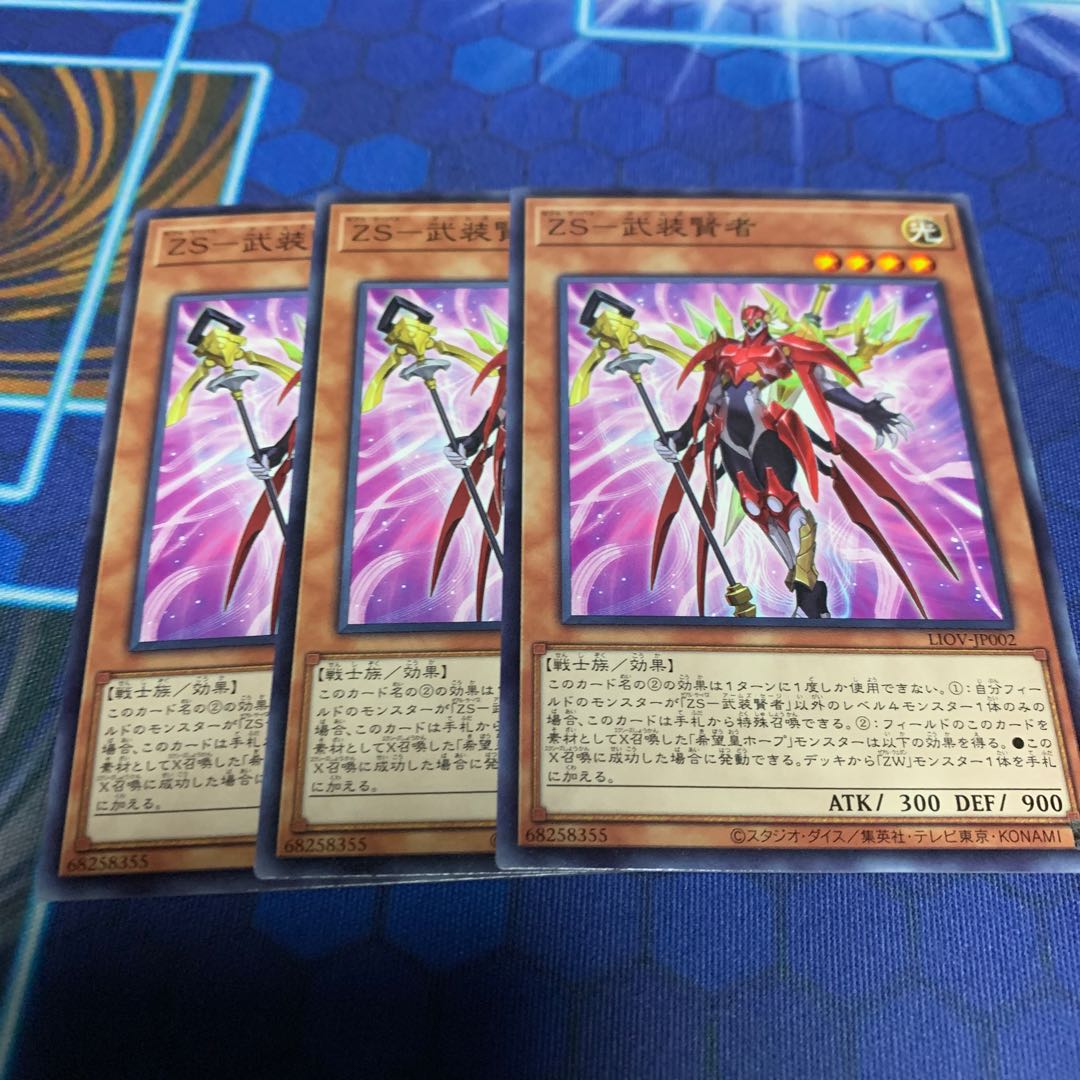 ZS-武装賢者 ノーマル 専用