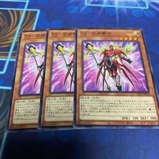 ZS-武装賢者 ノーマル　専用