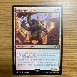 Territorial Kavu Modern Horizon 2