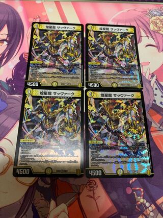 煌星龍 サッヴァーク