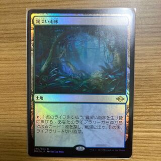 Misty Rainforest Modern Horizon 2 foil