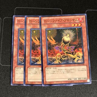 ローンファイア・ブロッサム