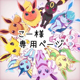 こー様 専用 ブイズオリパ