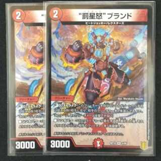 “罰星怒”ブランド 2枚セット