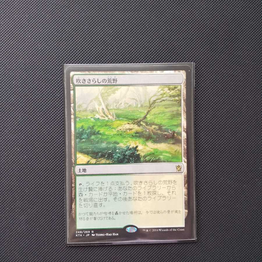 吹きさらしの荒野