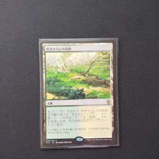 吹きさらしの荒野