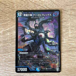 無量大龍 グーゴルプレックス