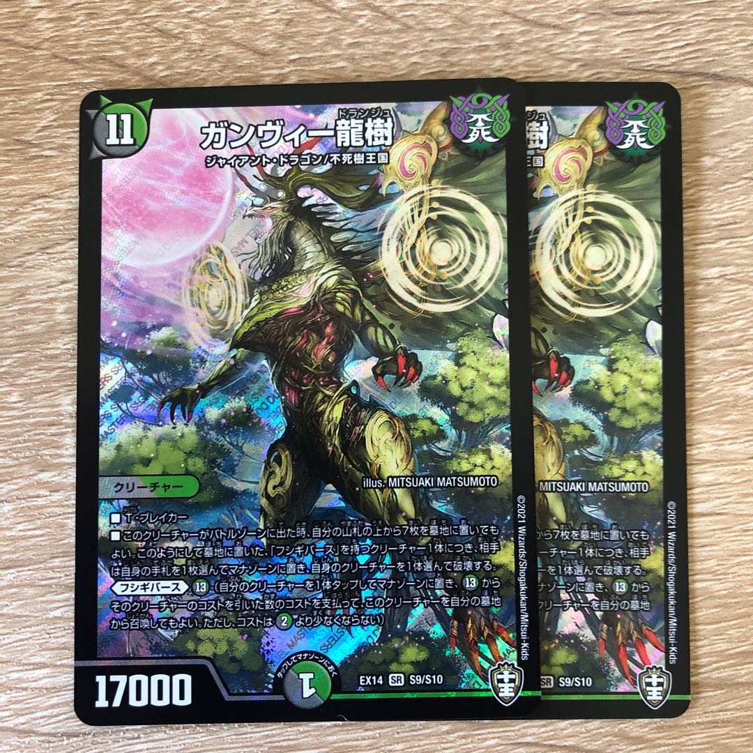 ガンヴィー龍樹