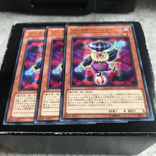 ジェスター・コンフィ ノーマル3枚