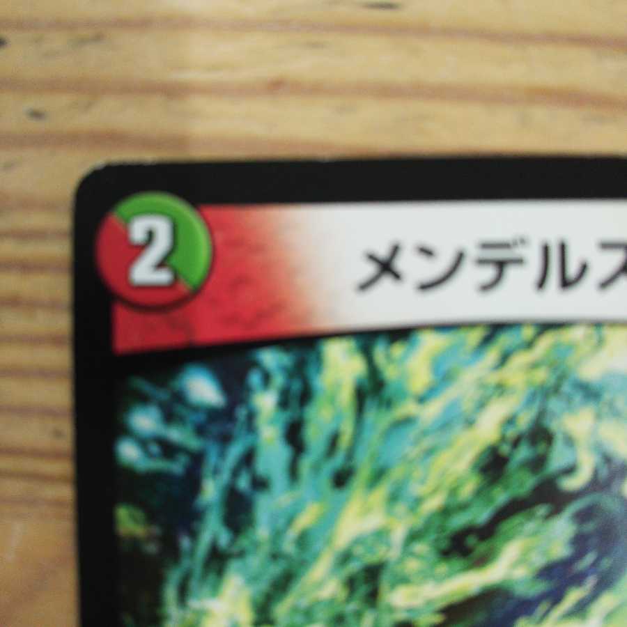 メンデルスゾーン4枚セット