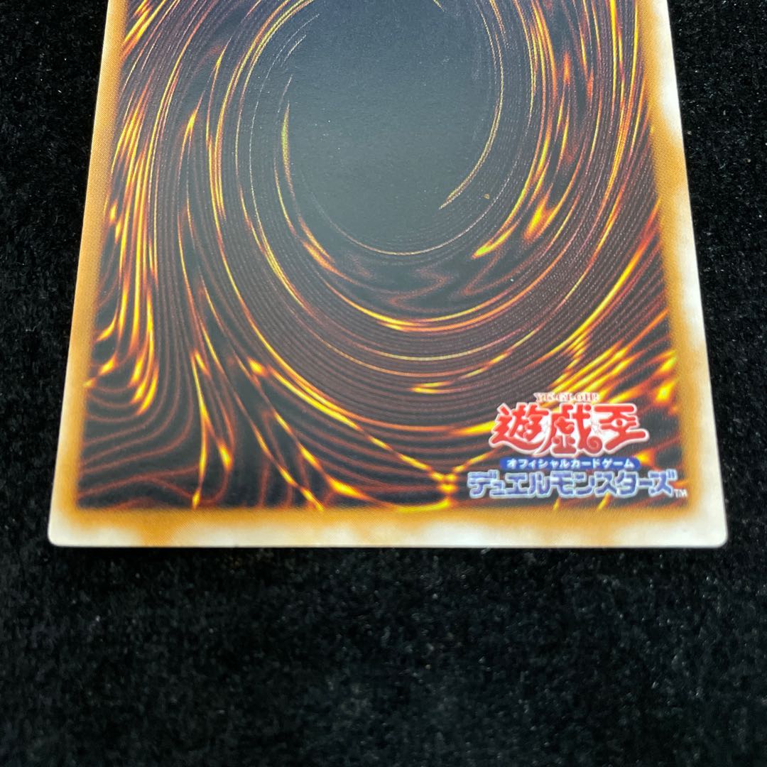 千年竜(初期) ウルトラパラレル