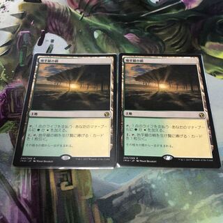 地平線の梢　2枚