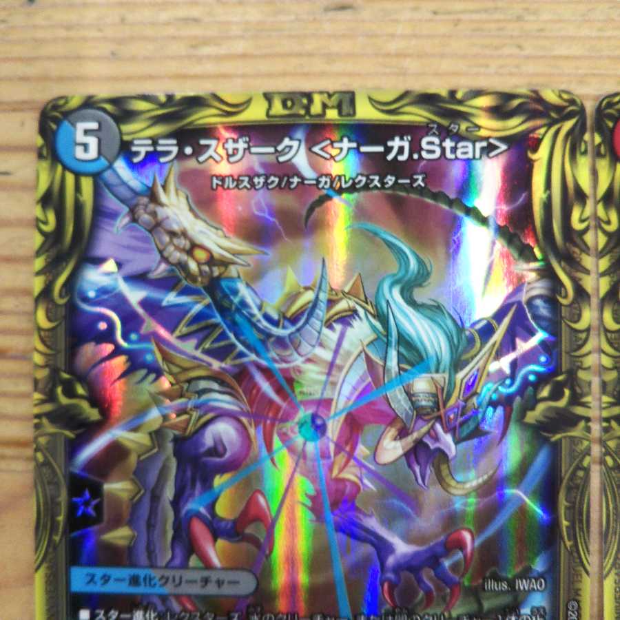 Terra Suzaku <Serpentine Princess.Star>A