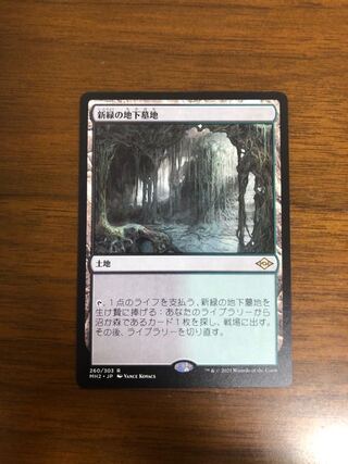 MTG モダンホライゾン2 新緑の地下墓地 日本語版