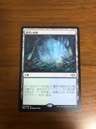 MTG モダンホライゾン2 霧深い雨林 日本語版