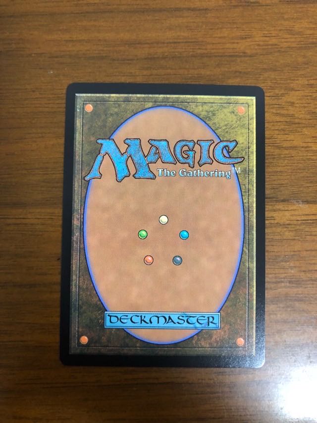 MTG モダンホライゾン2 霧深い雨林 旧枠日本語版