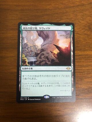 MTG Modern Horizon 2: Yavimaya, the Cradle of Growth, Japanese version