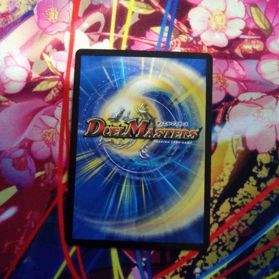 らる様専用 こたつむり 3枚