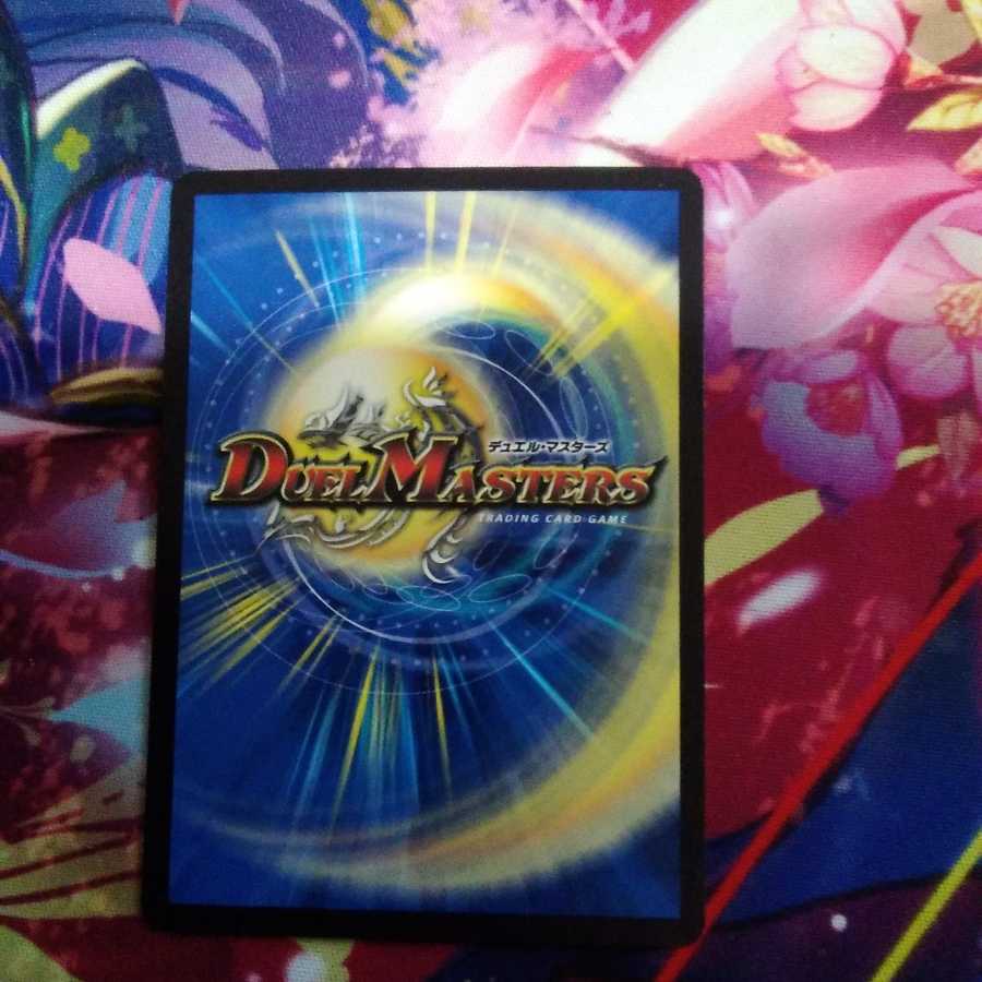 らる様専用 こたつむり 3枚