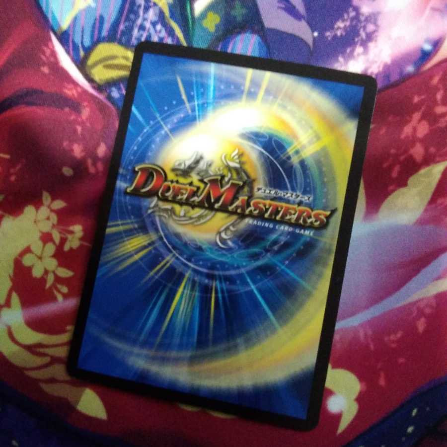 らる様専用 こたつむり 3枚