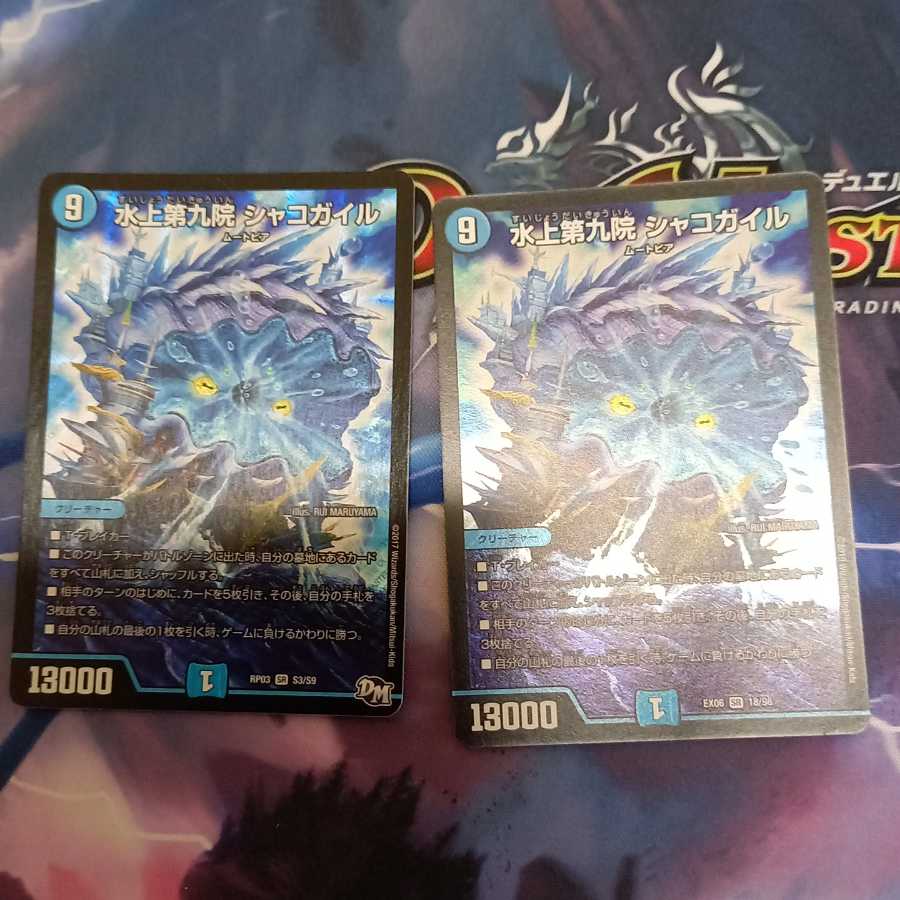 シャコガイル二枚セット